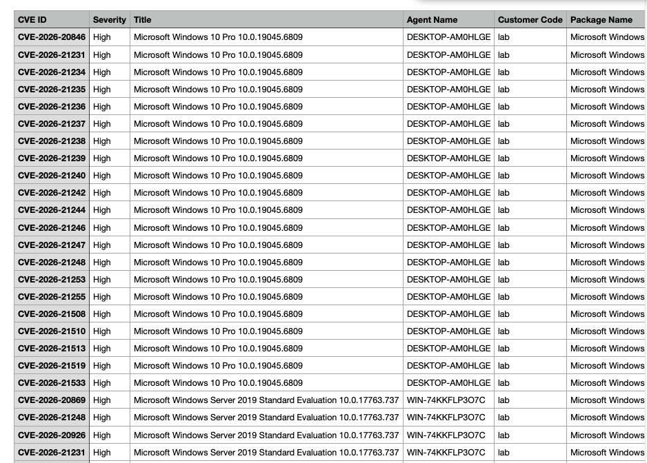 Vulnerability Reports
