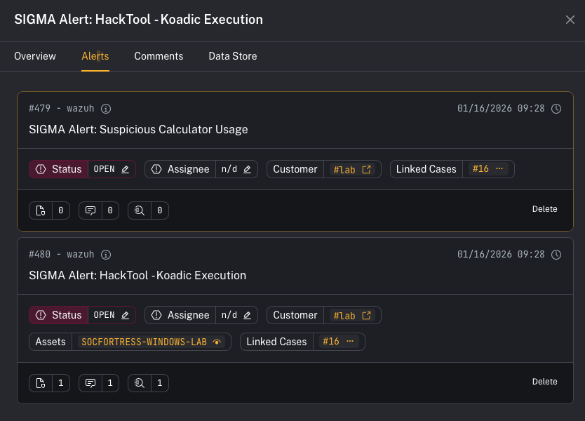 Case details (Alerts)