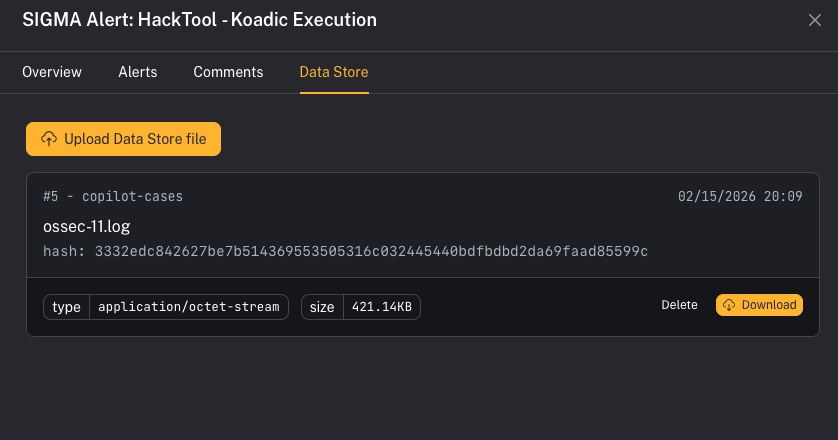 Case details (Data Store)