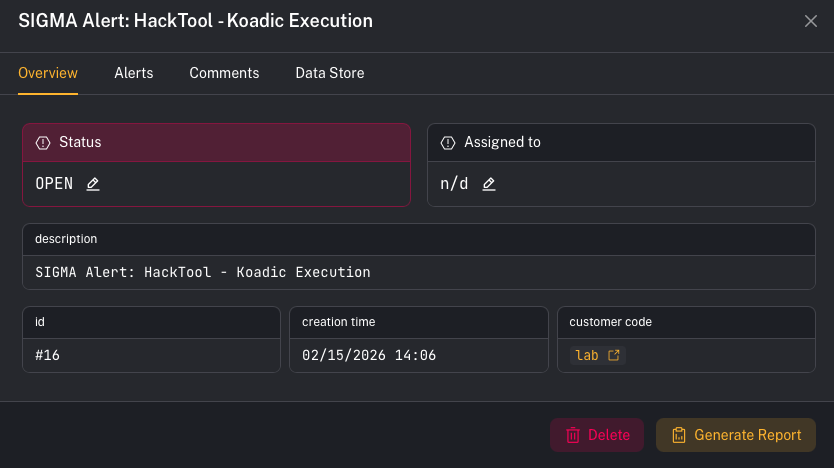 Case details (Overview)