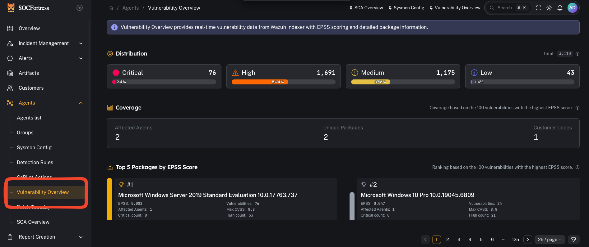Vulnerability Overview