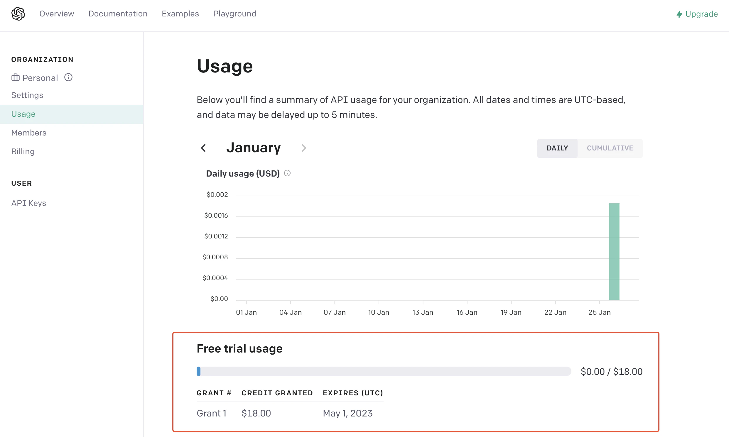 Open AI Usage