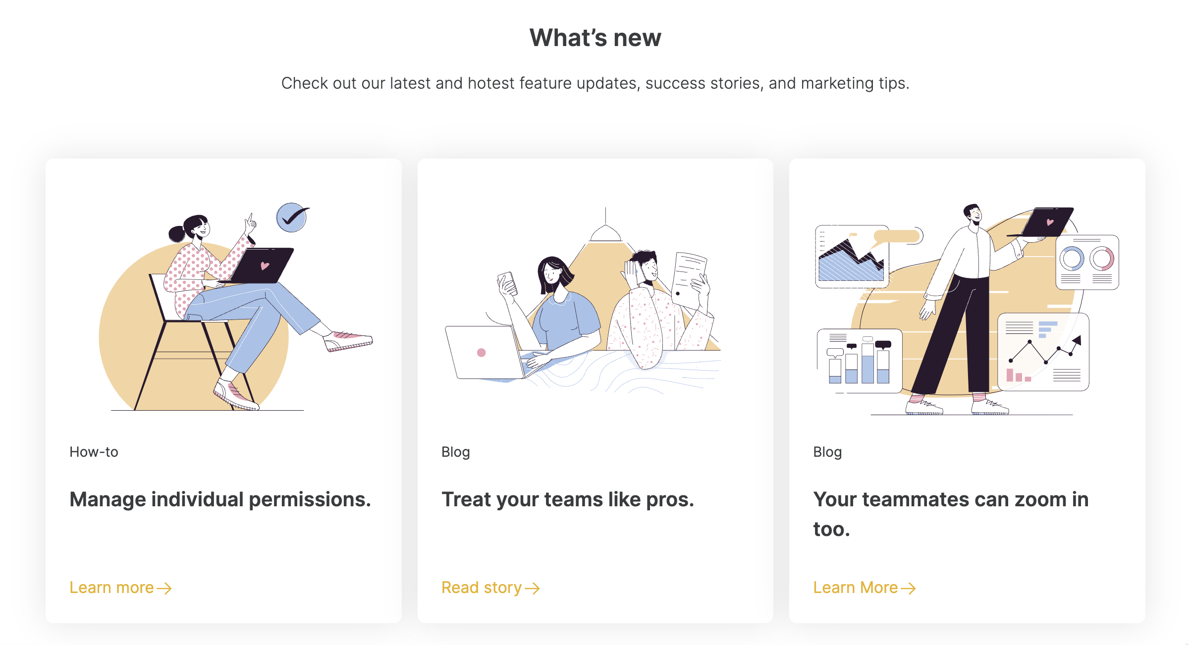 Feature grid with box and three column view