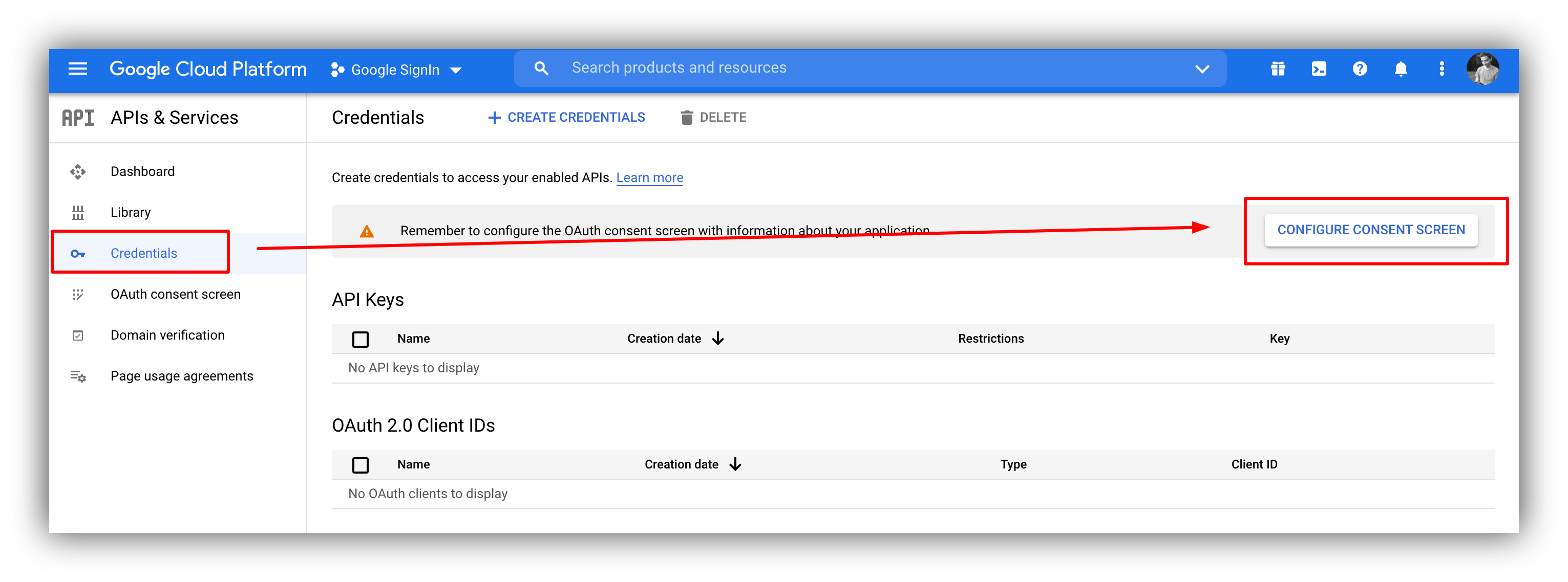 Configure Consent Screen