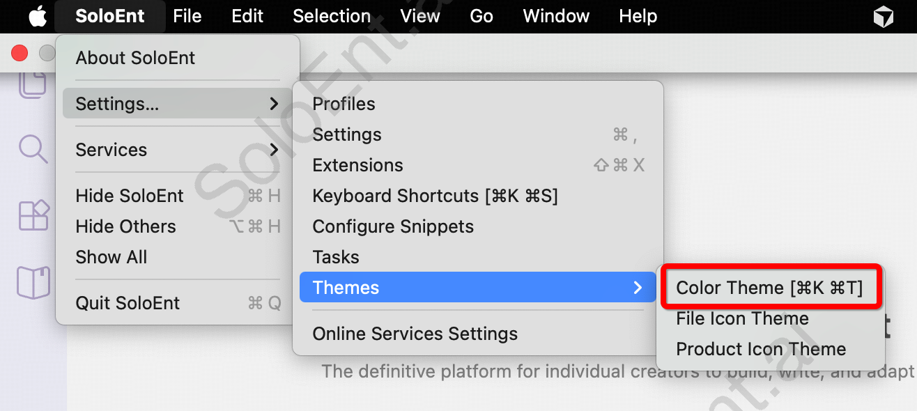 SoloEnt theme settings menu