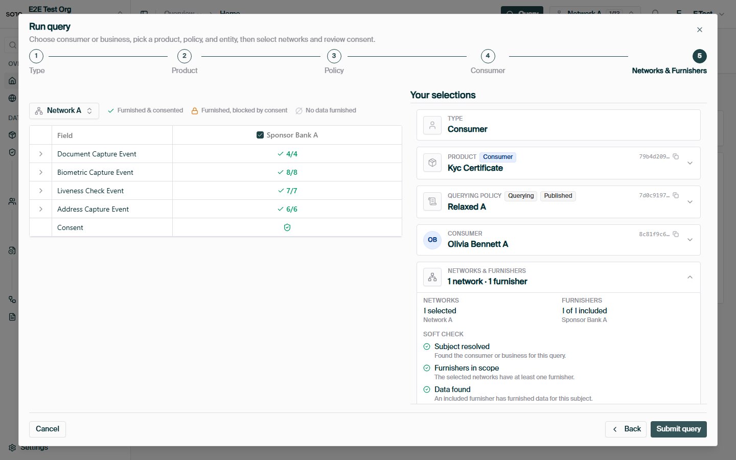 Run query — networks and consent matrix