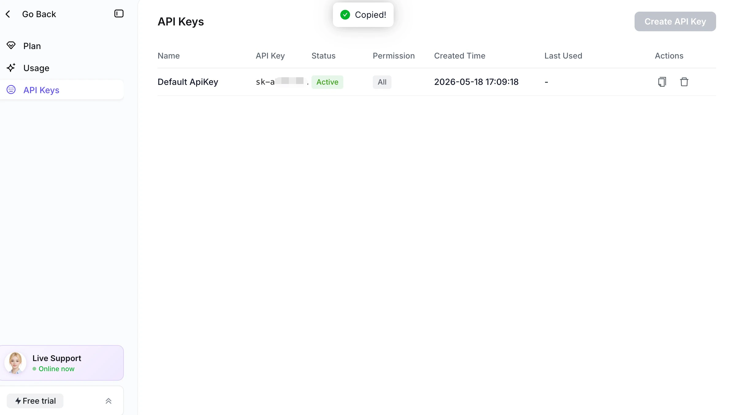 Newly created API key with copy button