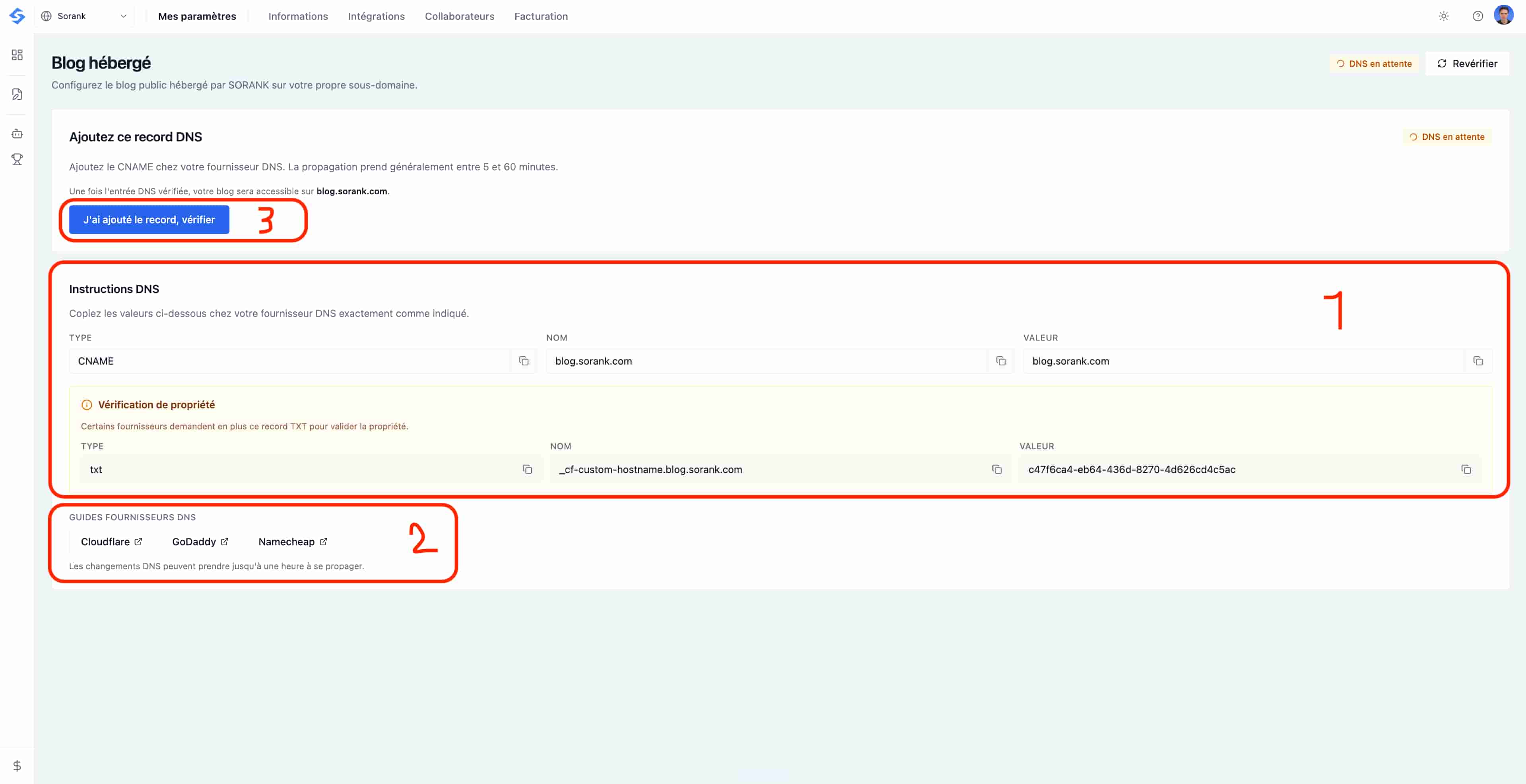 הוסף את רשומות ה-DNS מסוג CNAME ו-TXT ואז לחץ על I have added the record verify