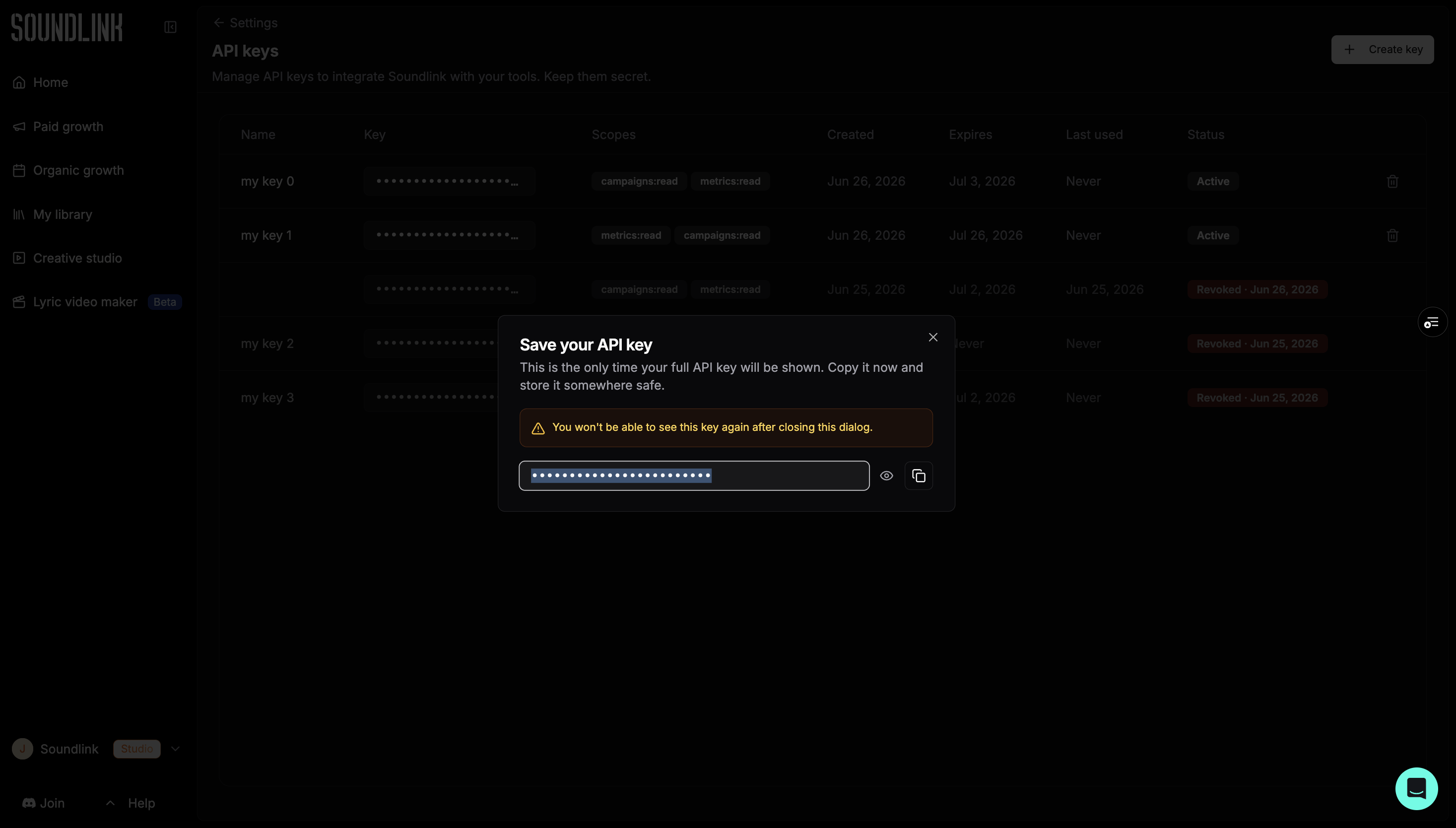 Save your API key dialog with masked key, reveal and copy buttons, and warning that the key is shown only once