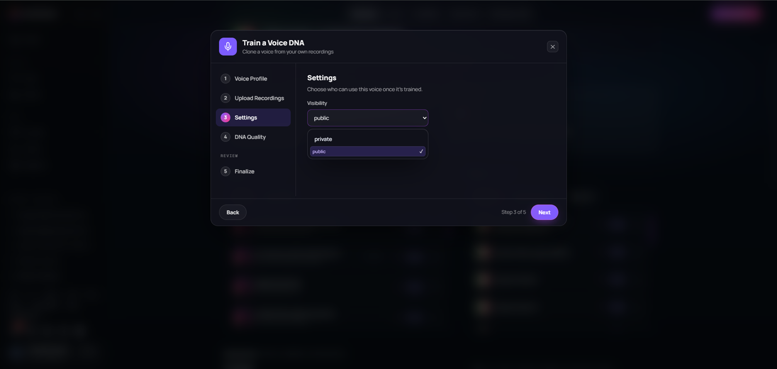 Voice DNA Settings step showing private and public visibility choices