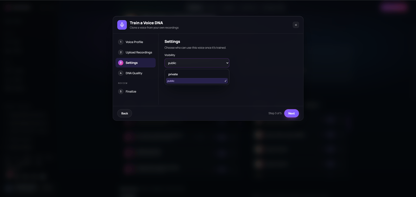 Voice DNA Settings step showing private and public visibility choices