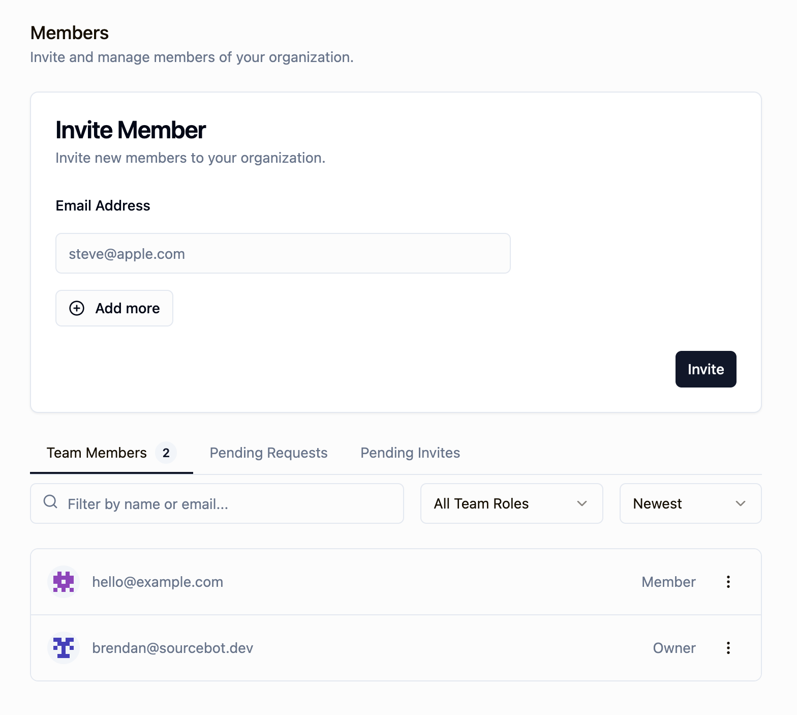 Members settings page showing team members and their roles