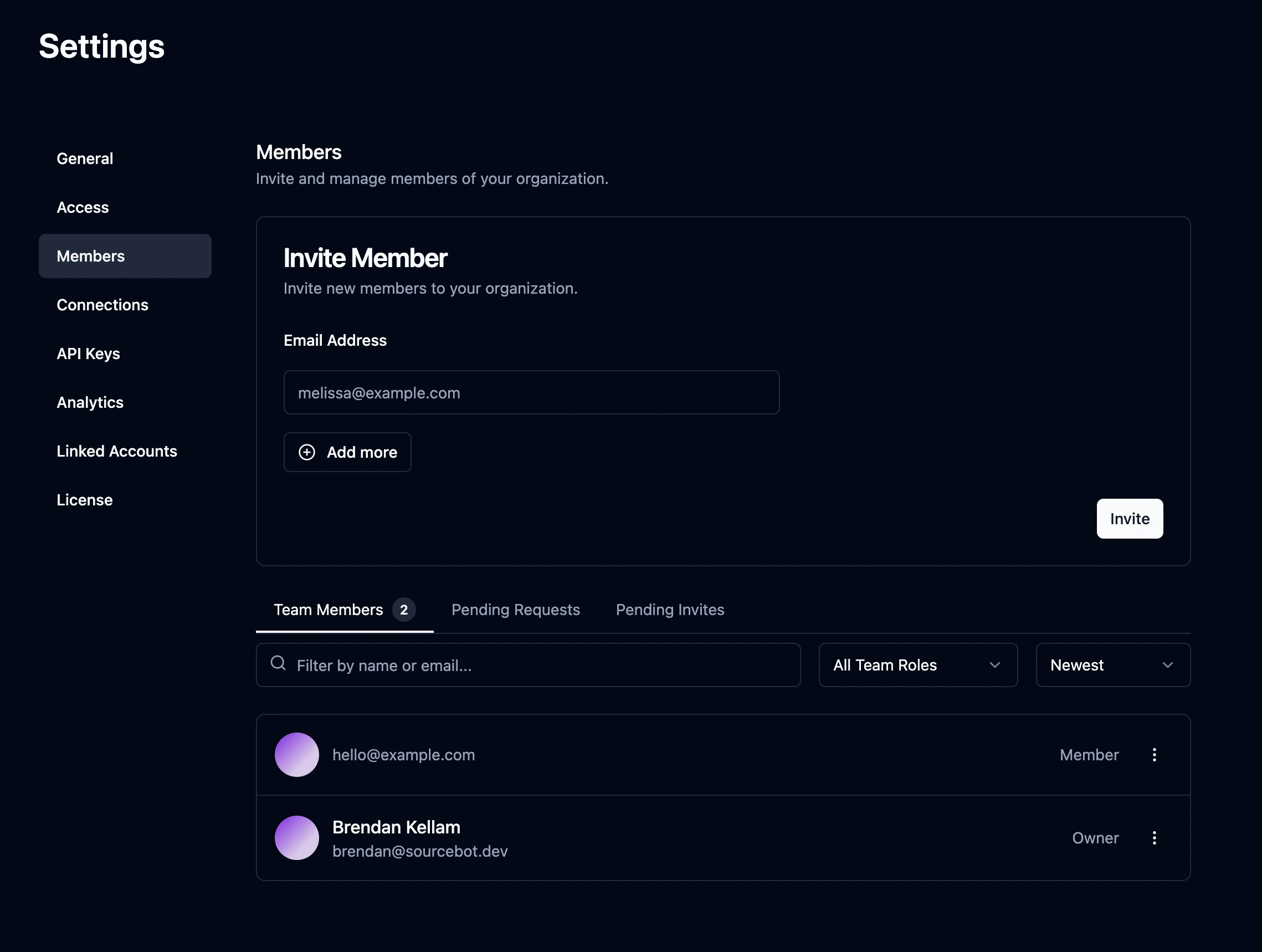 Members settings page showing team members and their roles