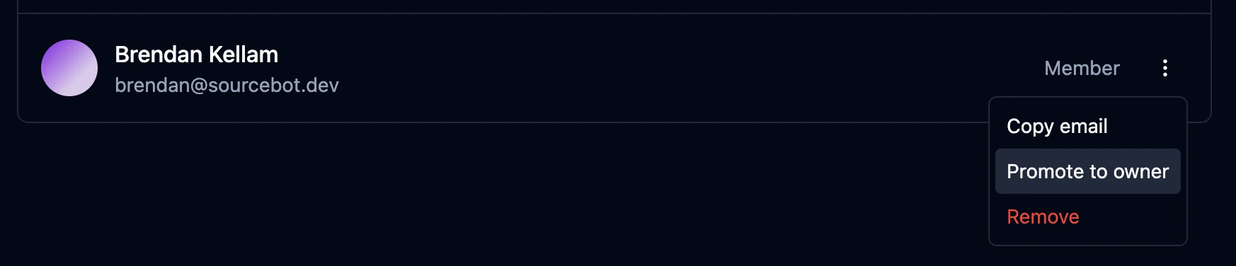Dropdown menu showing Promote to owner option for a member