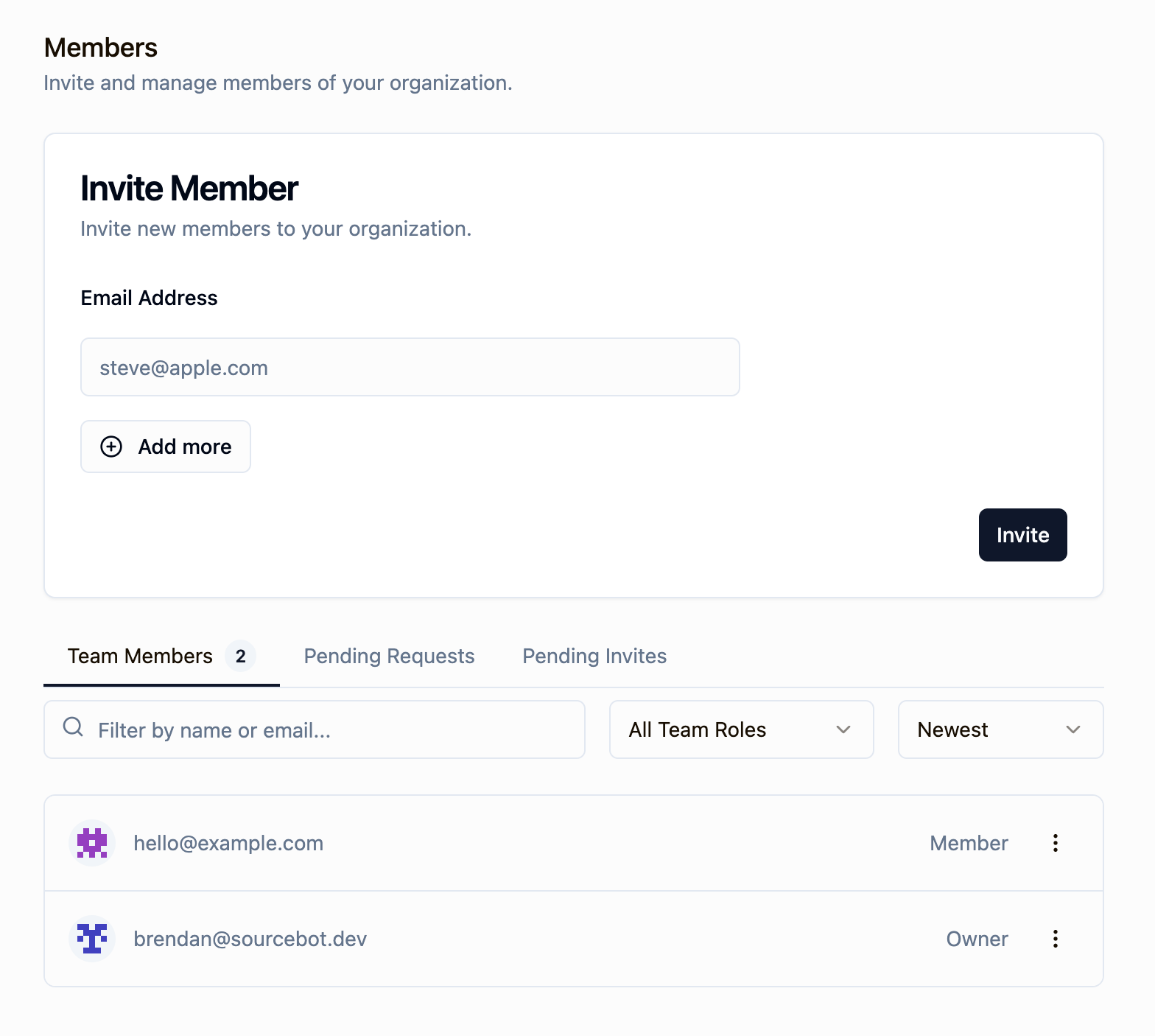 Members settings page showing team members and their roles