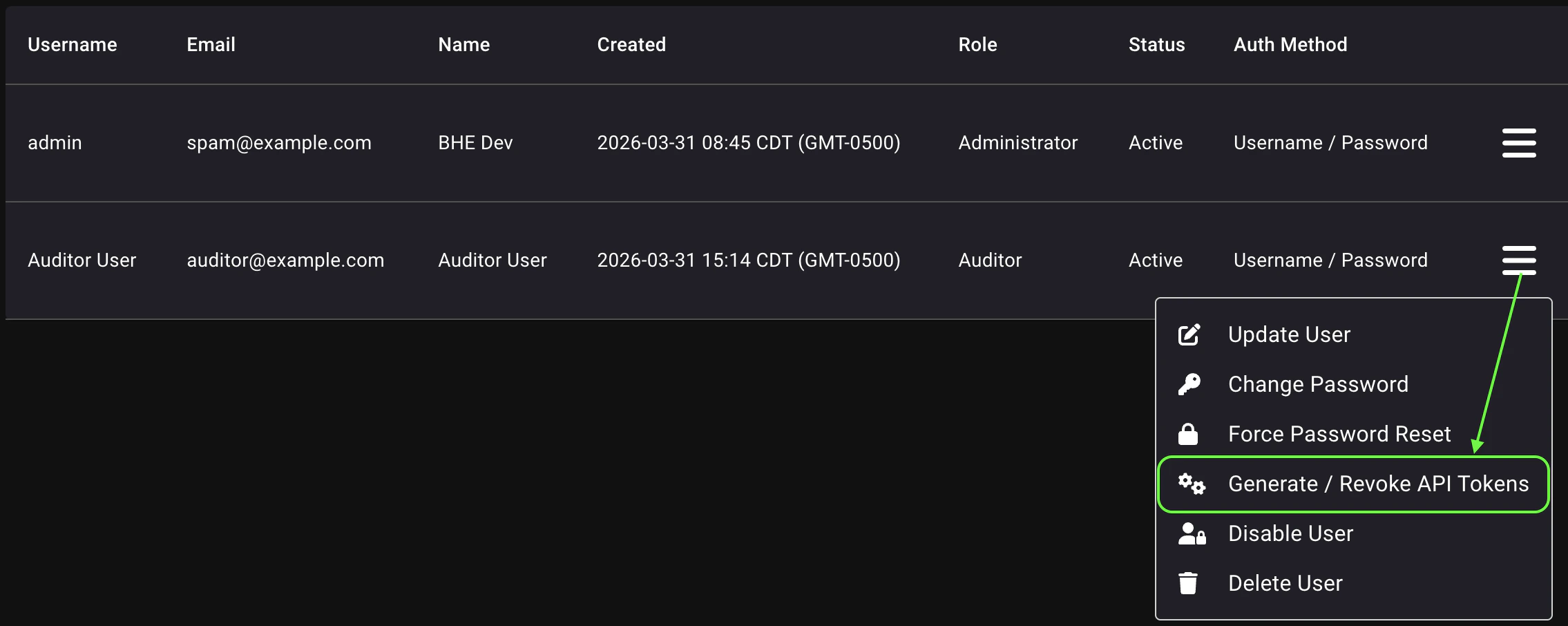 A view of the API token generation interface