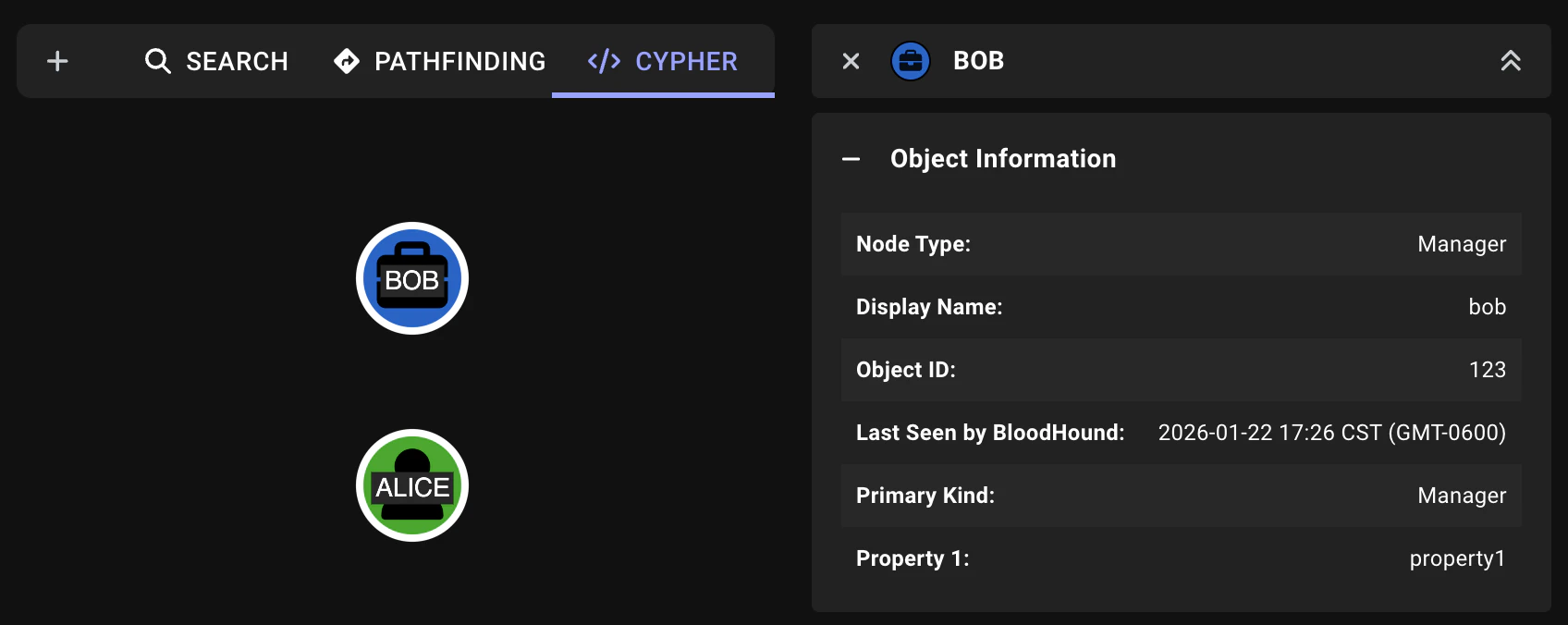 A view of the custom Bob and Alice nodes on the graph and property details for Bob in the Entity panel