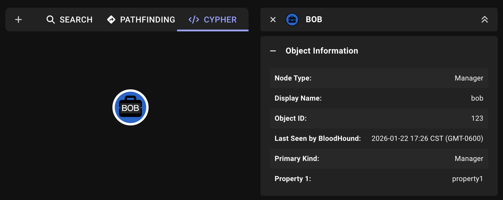A view of the custom Manager nodes on the graph and property details for a Manager node in the Entity panel