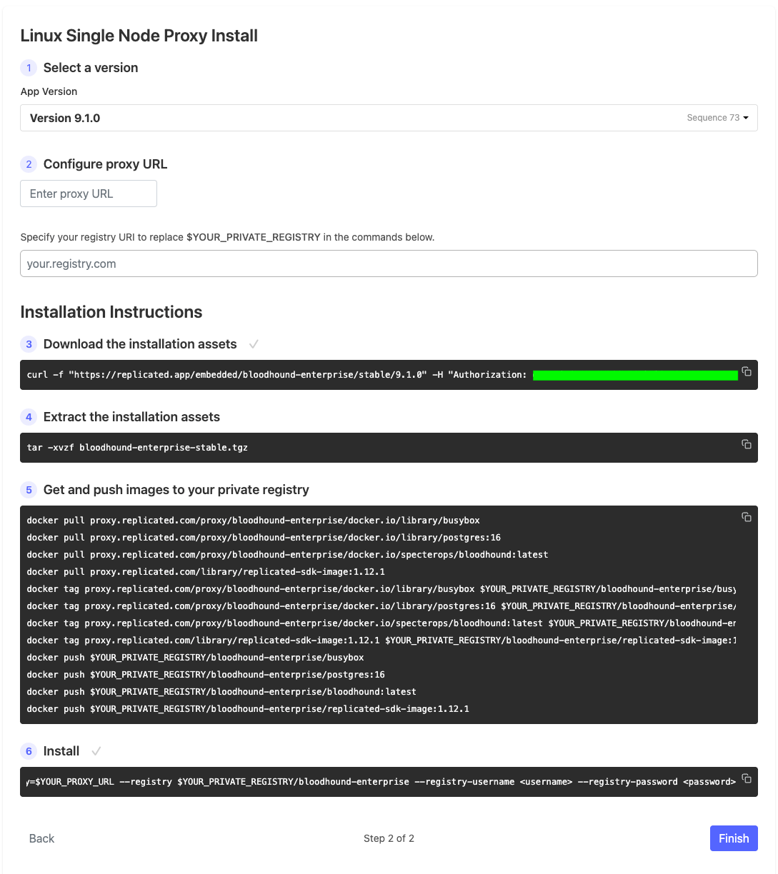 A screenshot showing an example of the installation instructions in the BloodHound Enterprise web-based installer