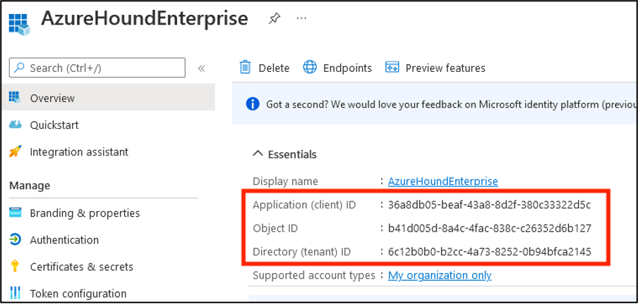 A view of the Azure portal showing the application registration details page with the Application (client) ID and Directory (tenant) ID fields highlighted.