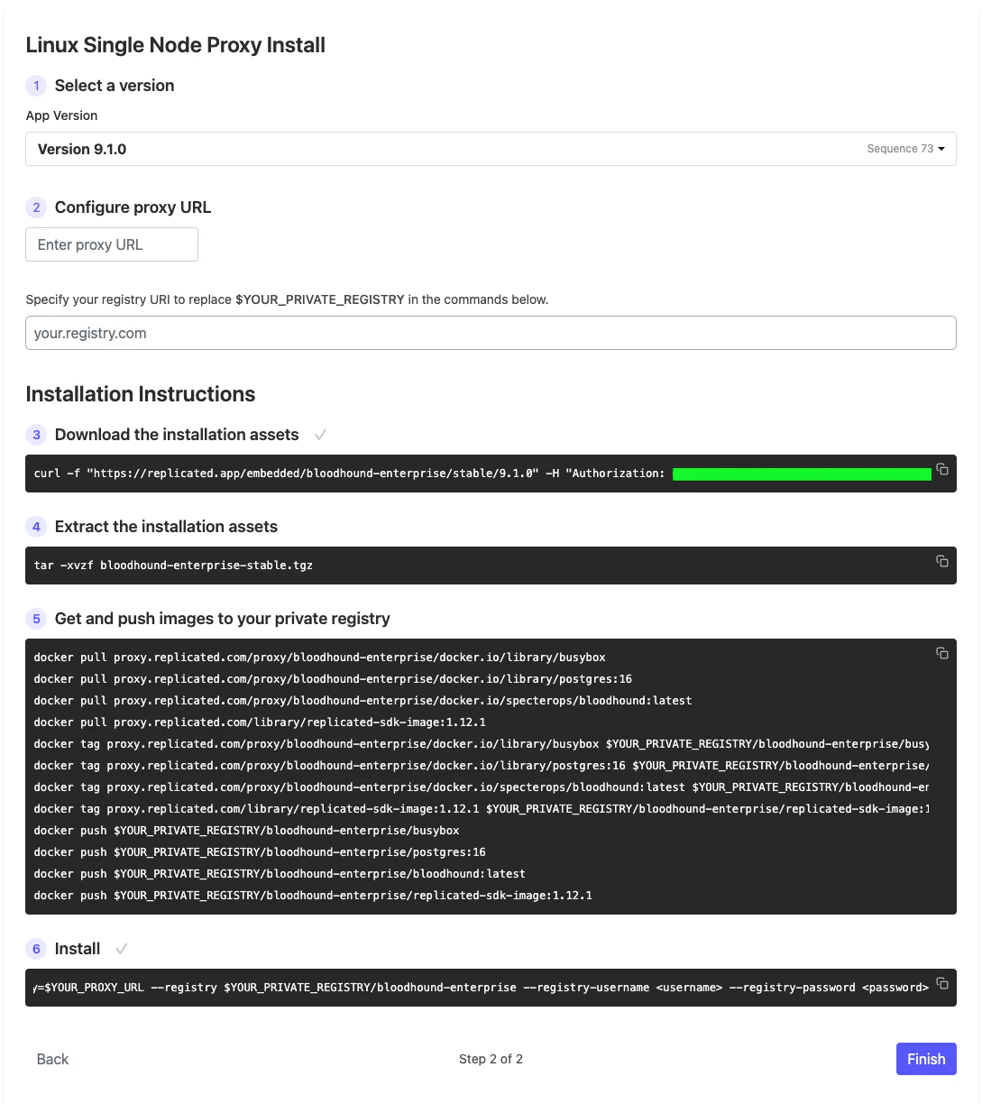 A screenshot showing an example of the installation instructions in the BloodHound Enterprise web-based installer