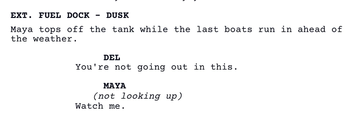 A pasted scene in the editor: a scene heading, action, two character cues, a parenthetical, and dialogue