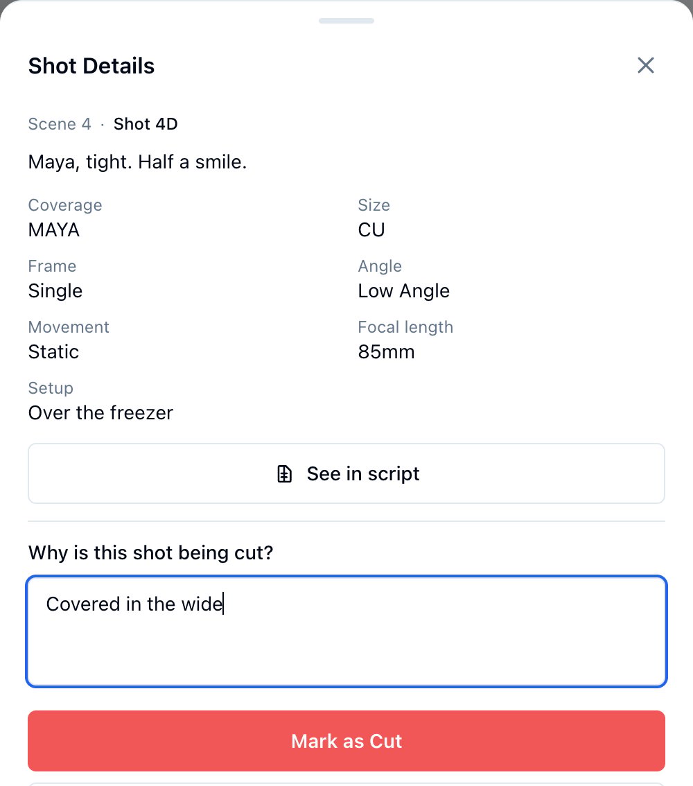 The cut section of the sheet asking why the shot is being cut