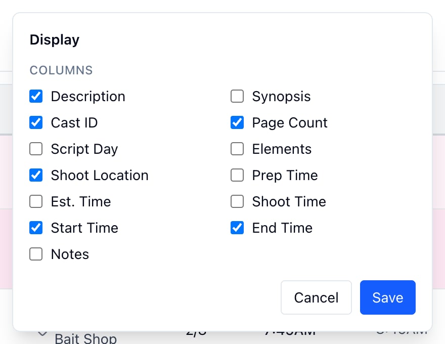 The Display window with Description, Cast ID, Page Count, Shoot Location, Start Time, and End Time checked