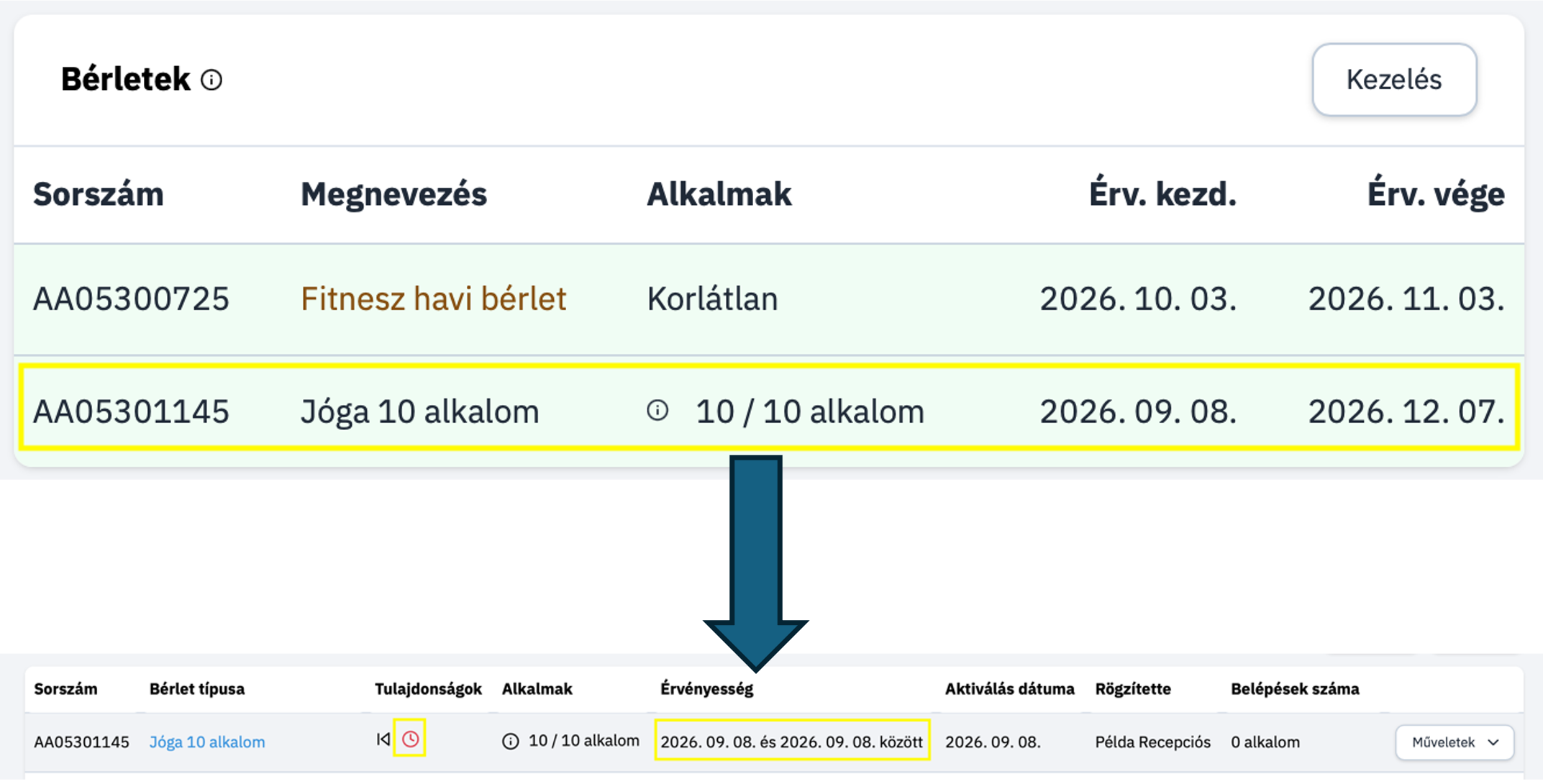 Érvénytelenítés
