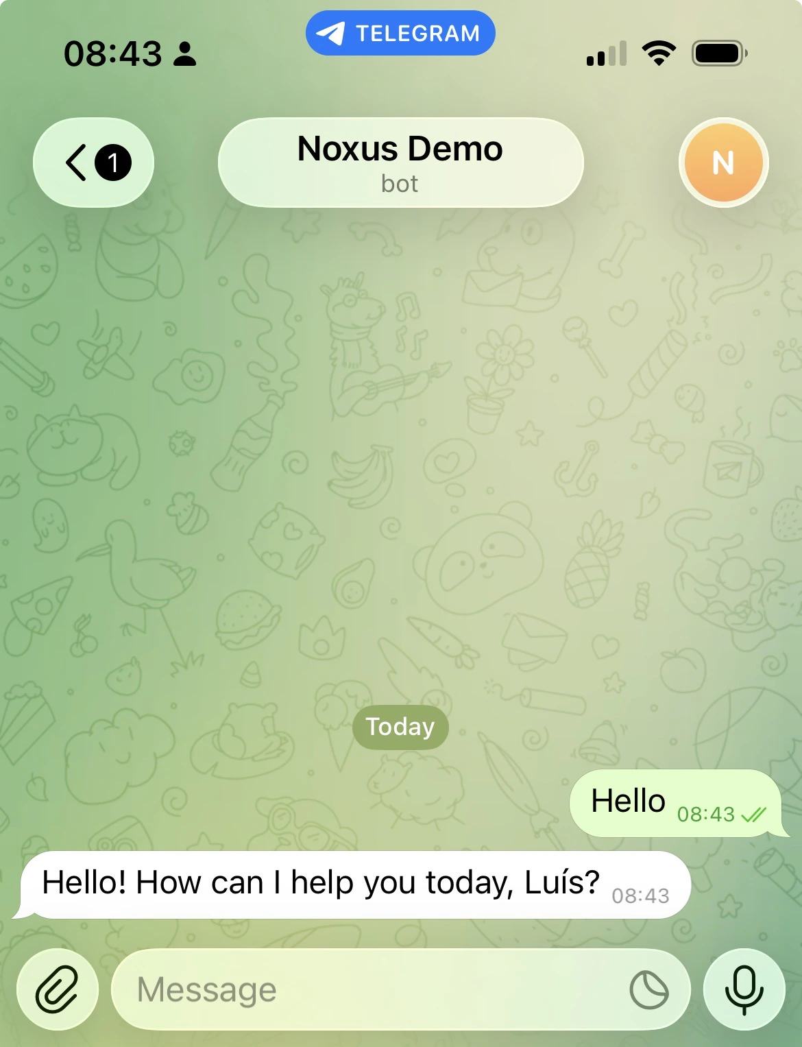 Talking to the Noxus bot on Telegram