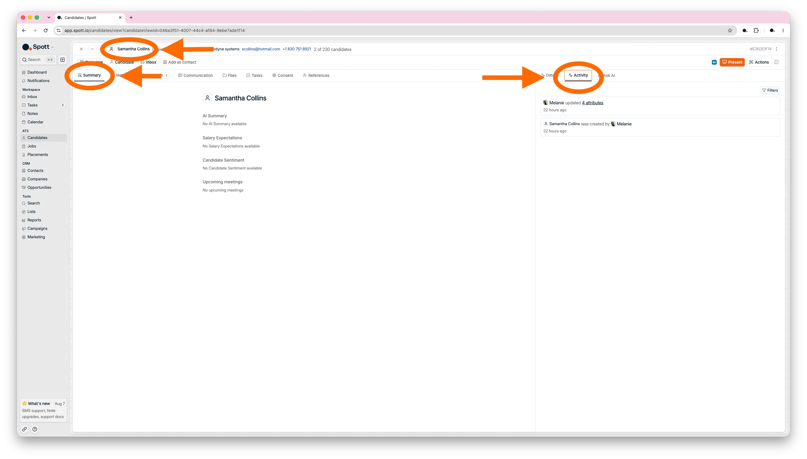 The Activity timeline on a candidate profile