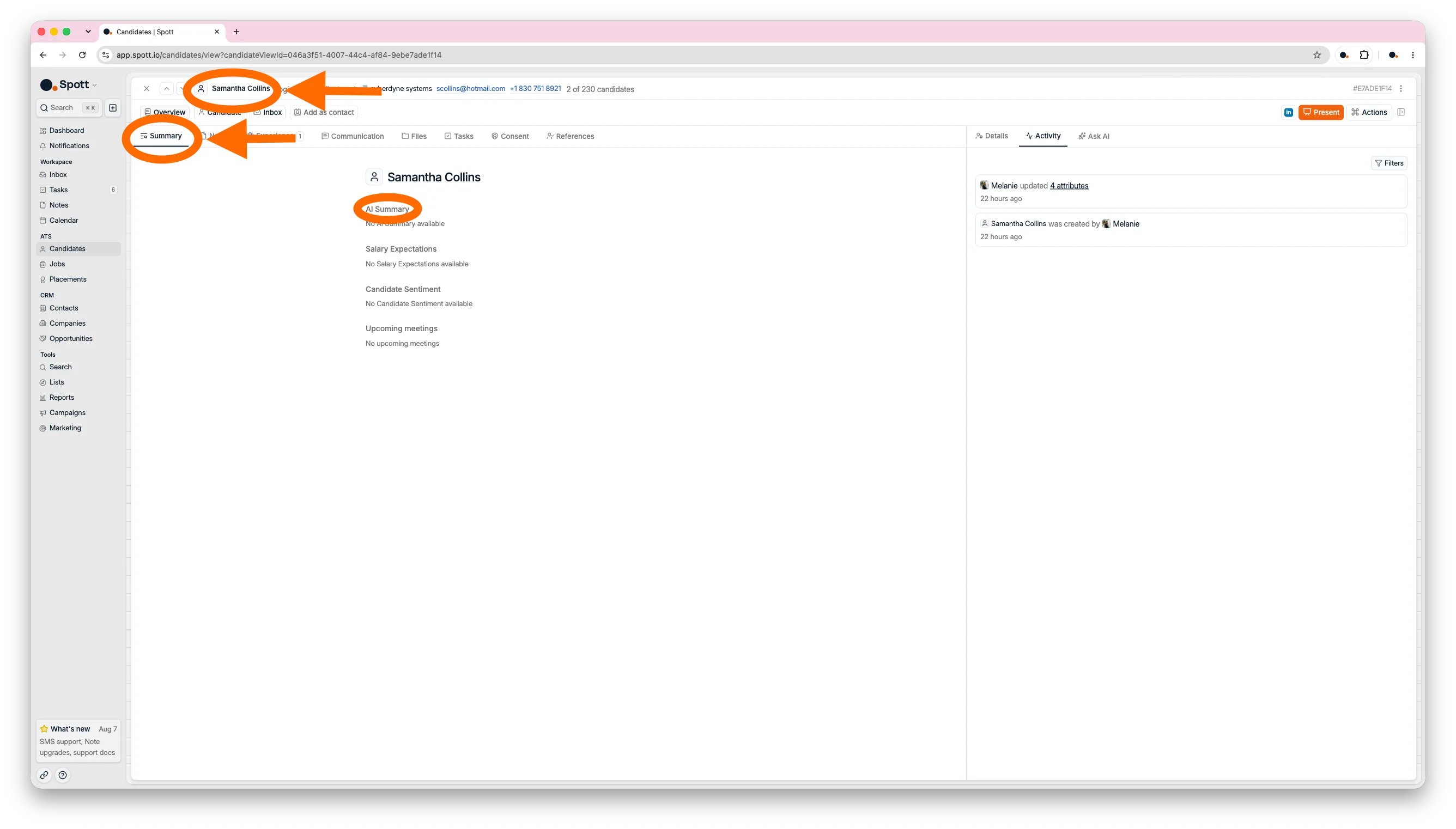 The Summary subtab with the AI summary, salary expectations, and candidate sentiment