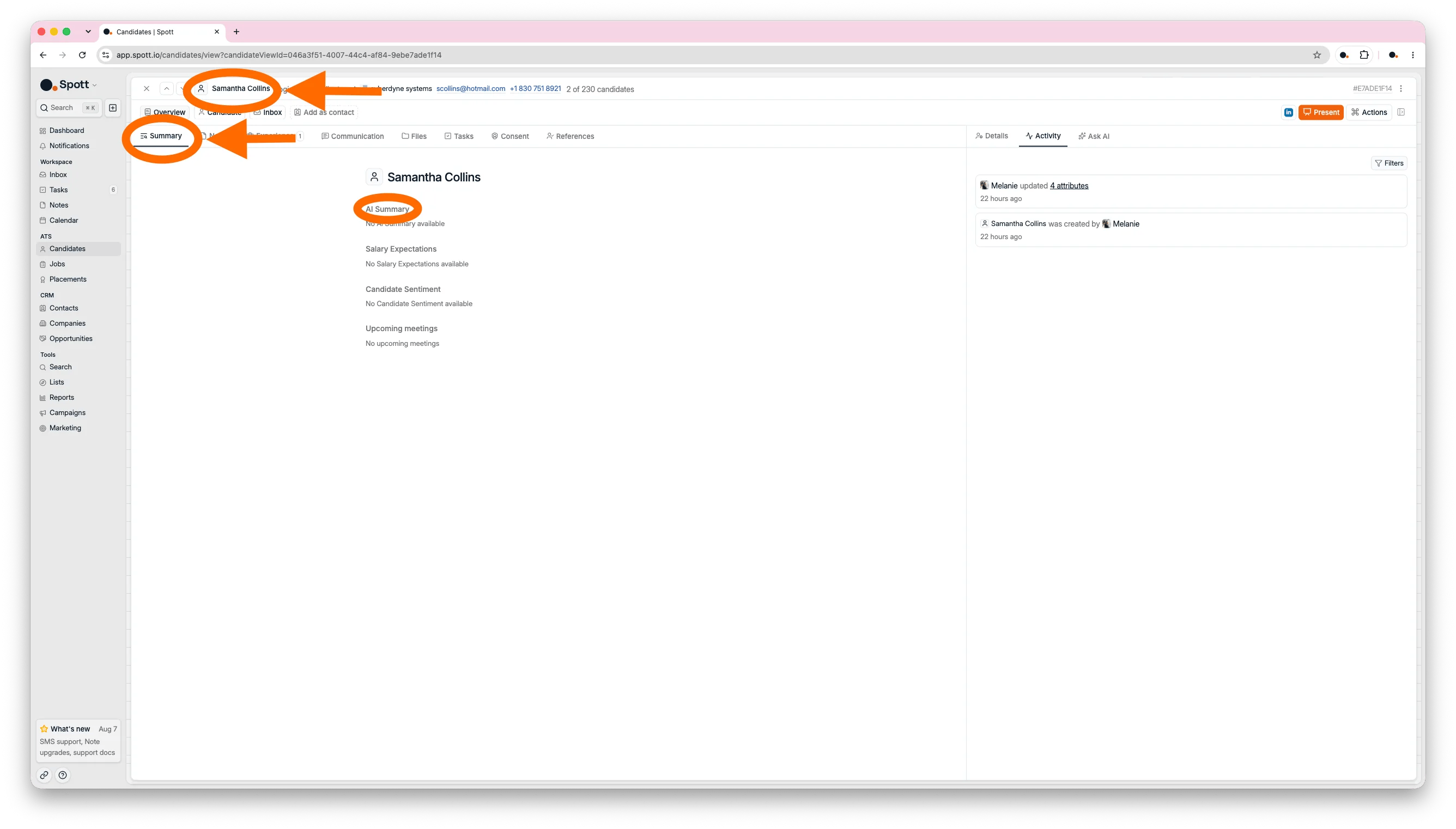 The Summary subtab with the AI summary, salary expectations, and candidate sentiment