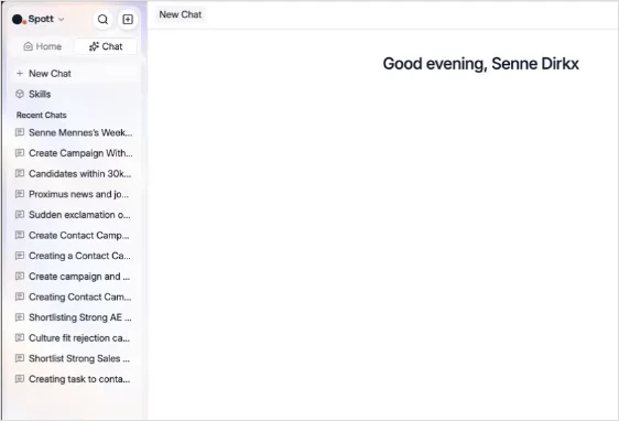 The Chat section in the sidebar, with New Chat, Skills and the list of recent chats