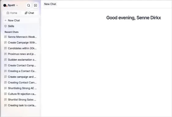 The Chat section in the sidebar, with New Chat, Skills and the list of recent chats