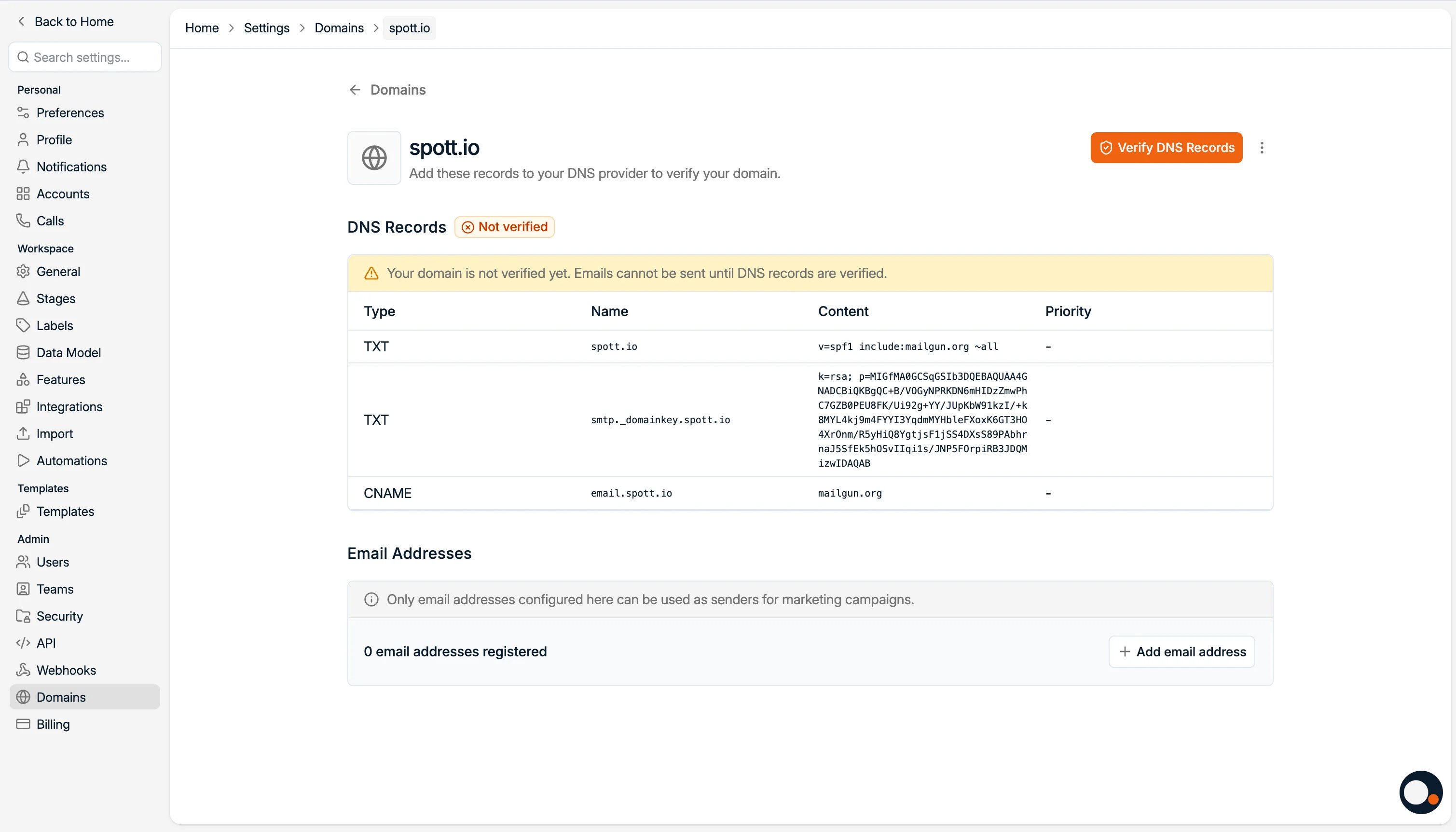A domain's DNS records in Spott, waiting to be verified