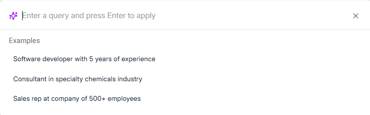 AI Text to Filters input field with example query