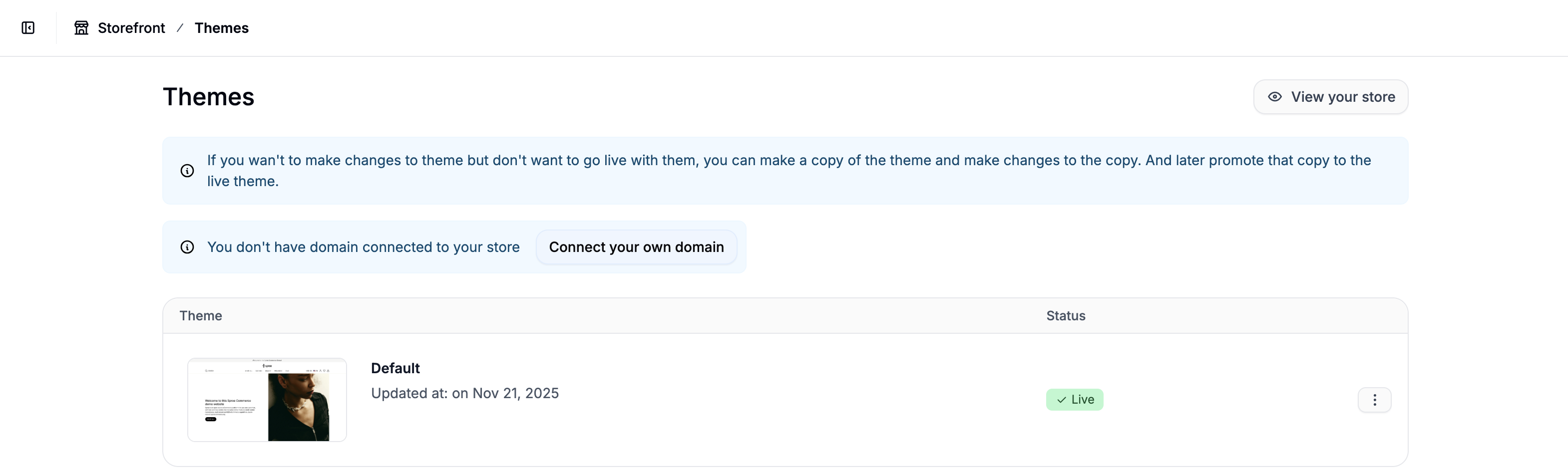 Managing storefront themes in Spree Commerce