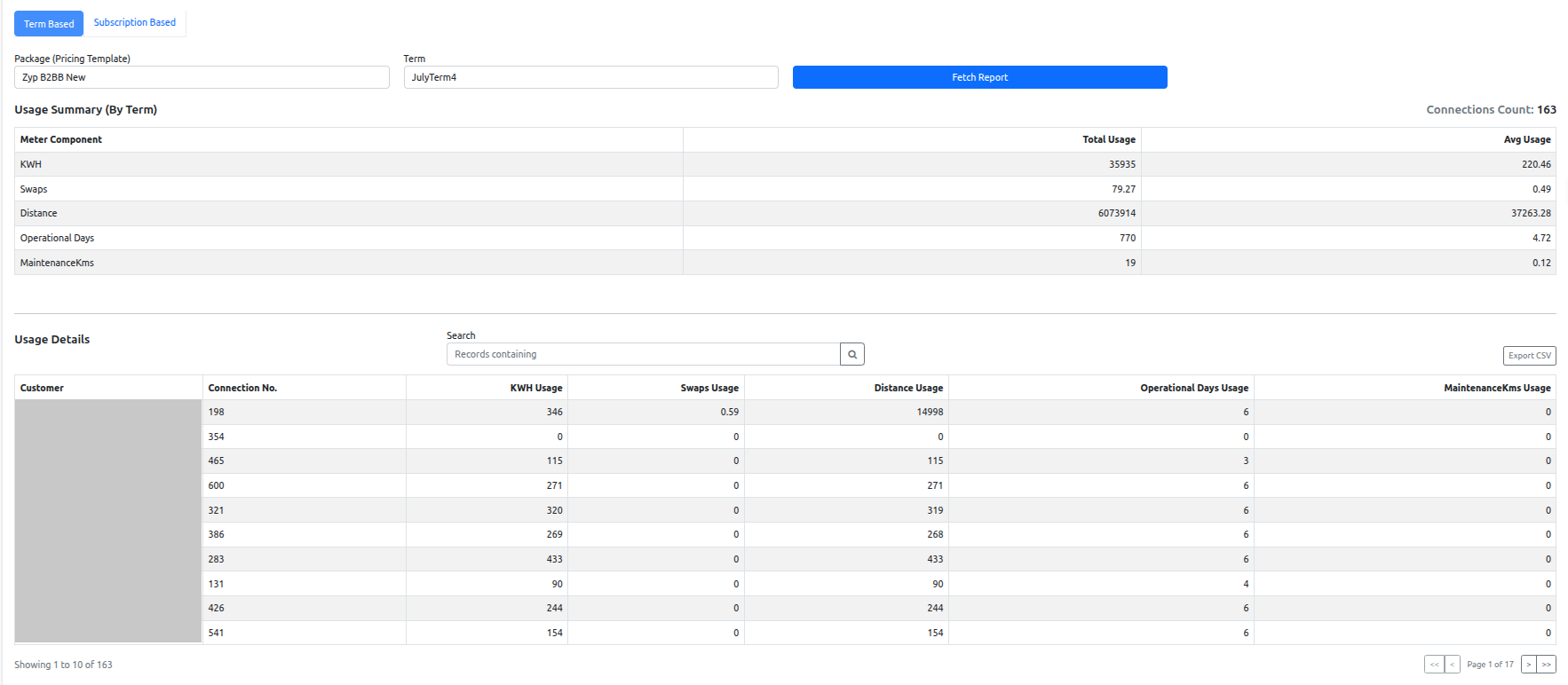 Usage Report per Bill Run — Term Based