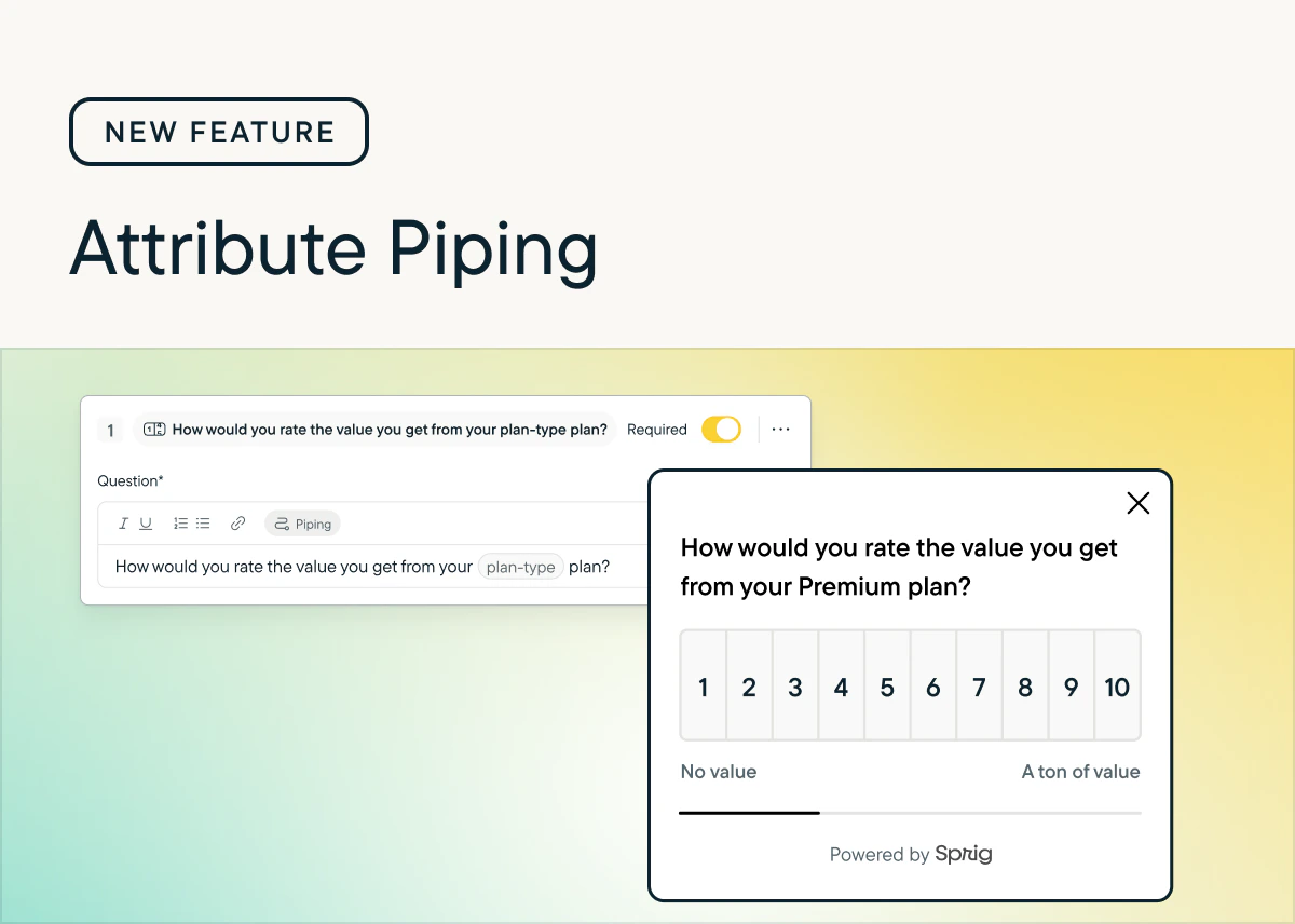 Image of a survey question with attribute piping.