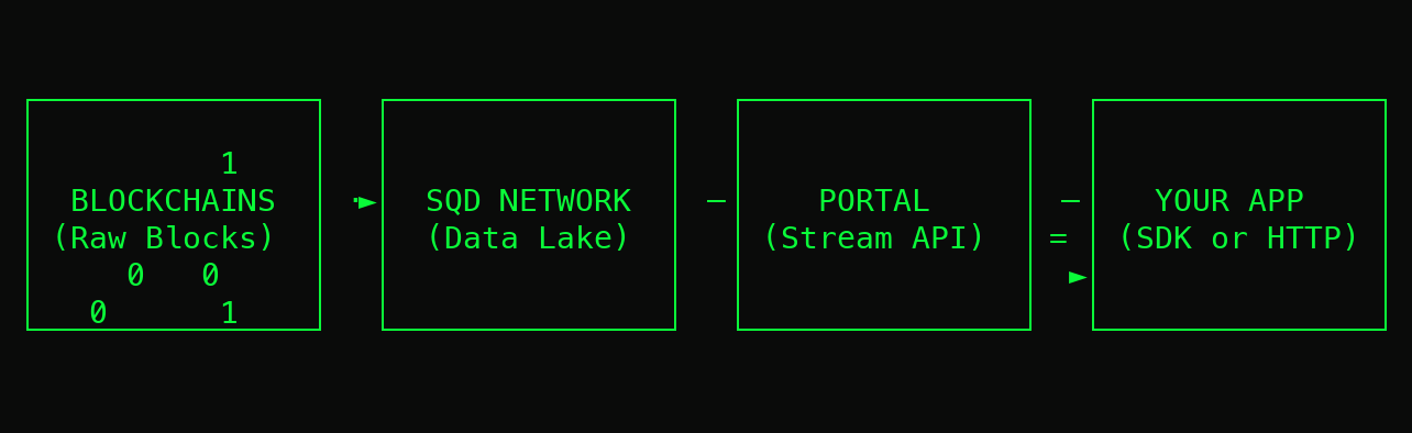 Animated diagram of raw blocks flowing from blockchains into the SQD Network data lake and streaming through Portal to your application
