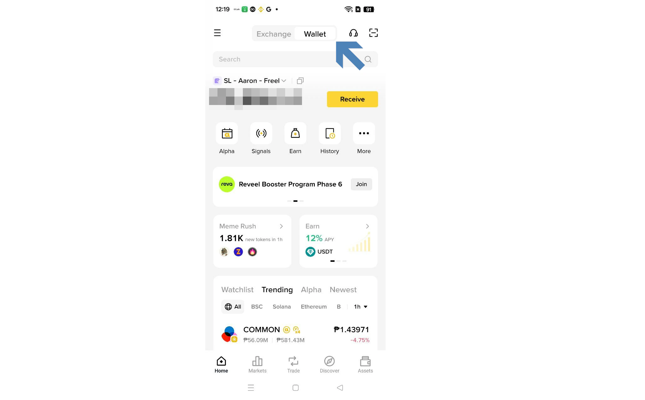 Binance Web3 Wallet import screen