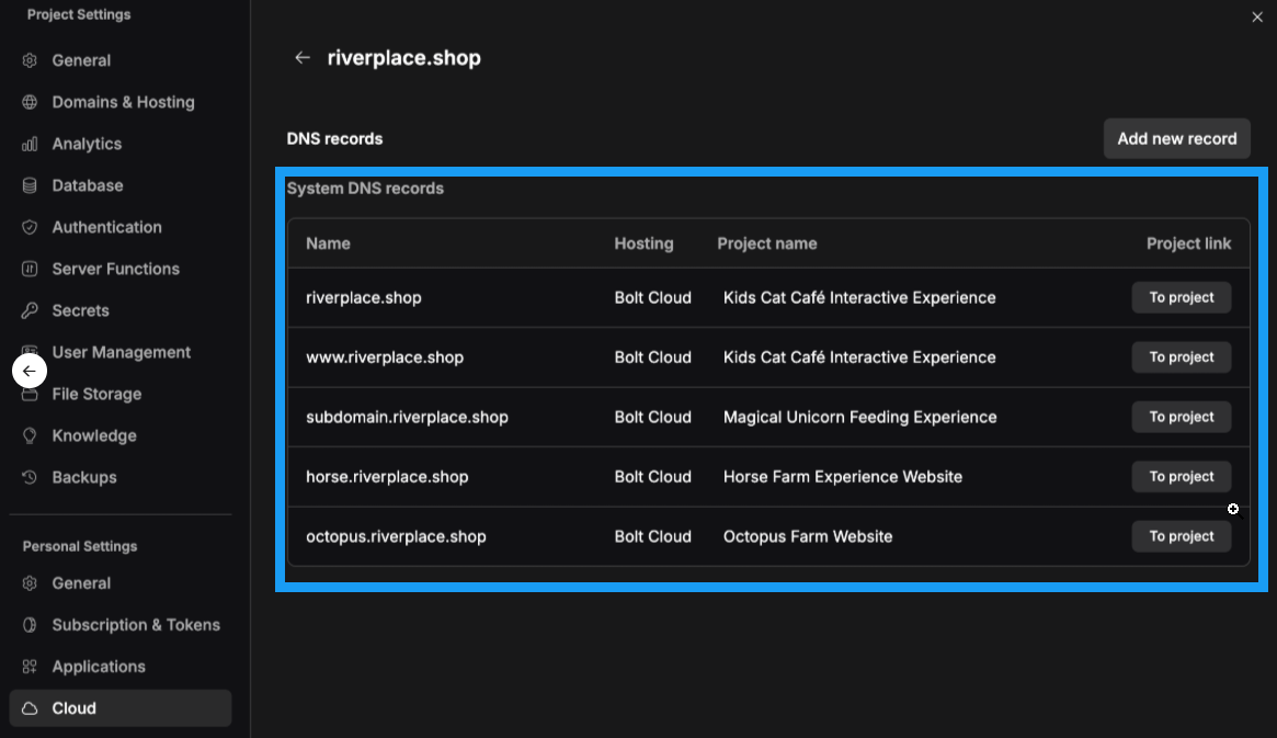 Screenshot of listed system records in Bolt Cloud settings