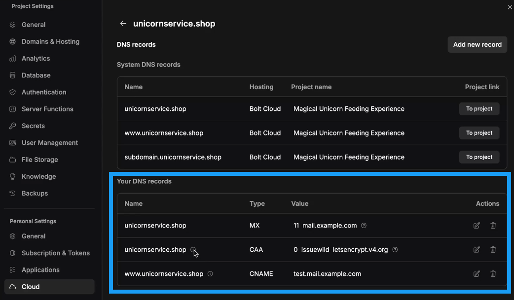 Screenshot showing your DNS records in Domain Settings in Bolt