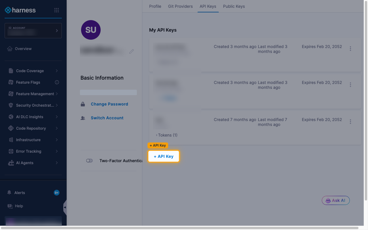 The My API Keys list with the + API Key button highlighted