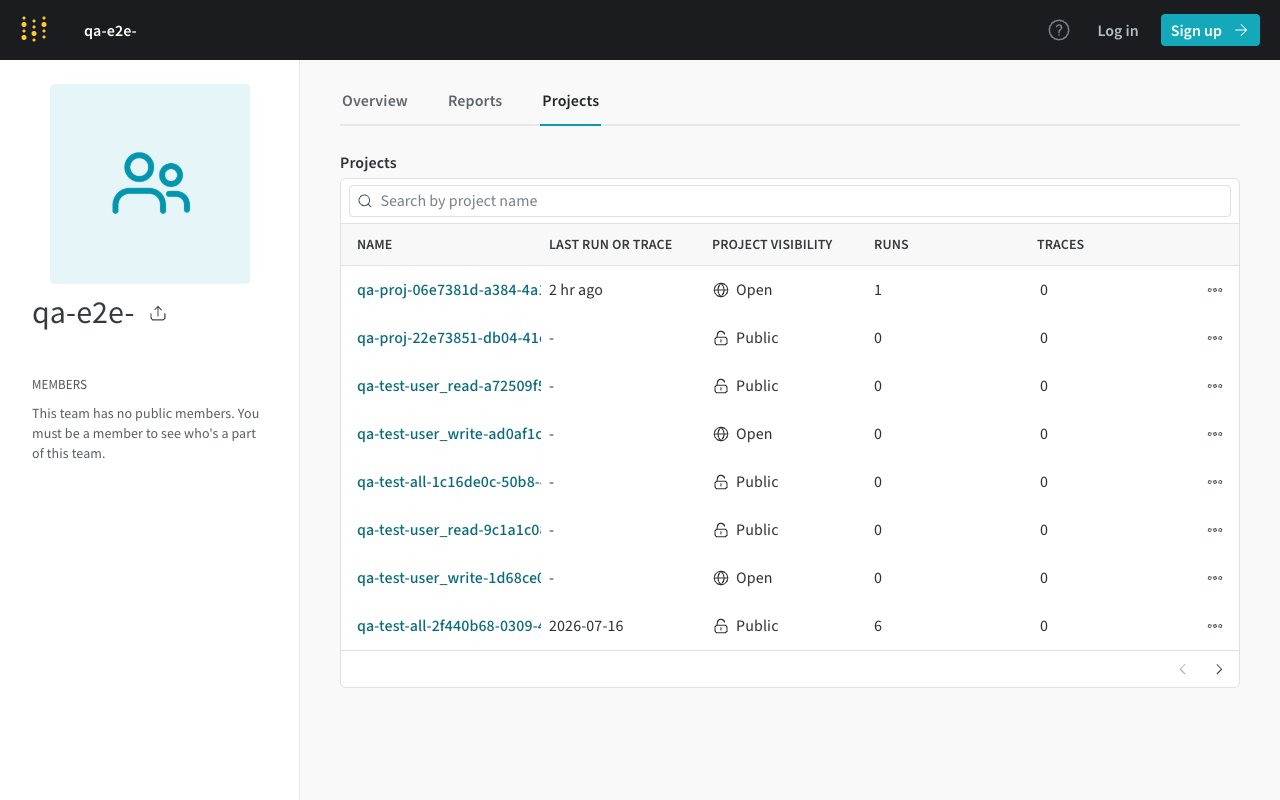 Weights & Biases team projects page with the Name column showing project slugs, matching the value used in per-project URLs and the W&B Project Names field.