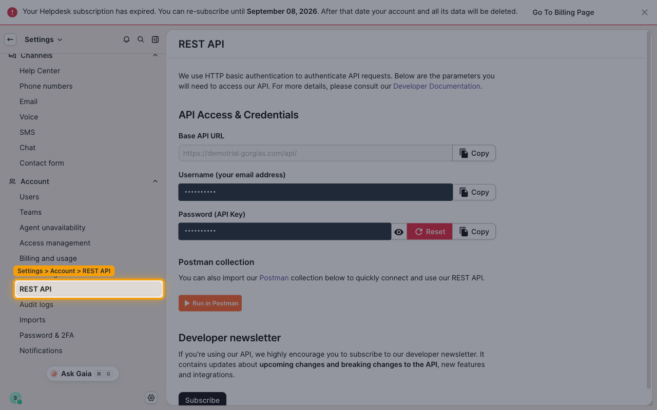 Gorgias Settings sidebar with REST API selected under the Account section