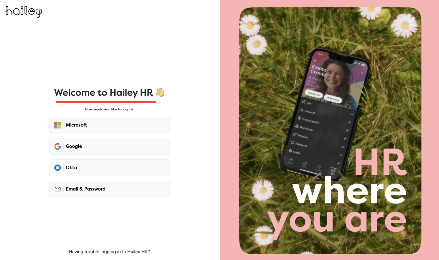 Hailey HR login page