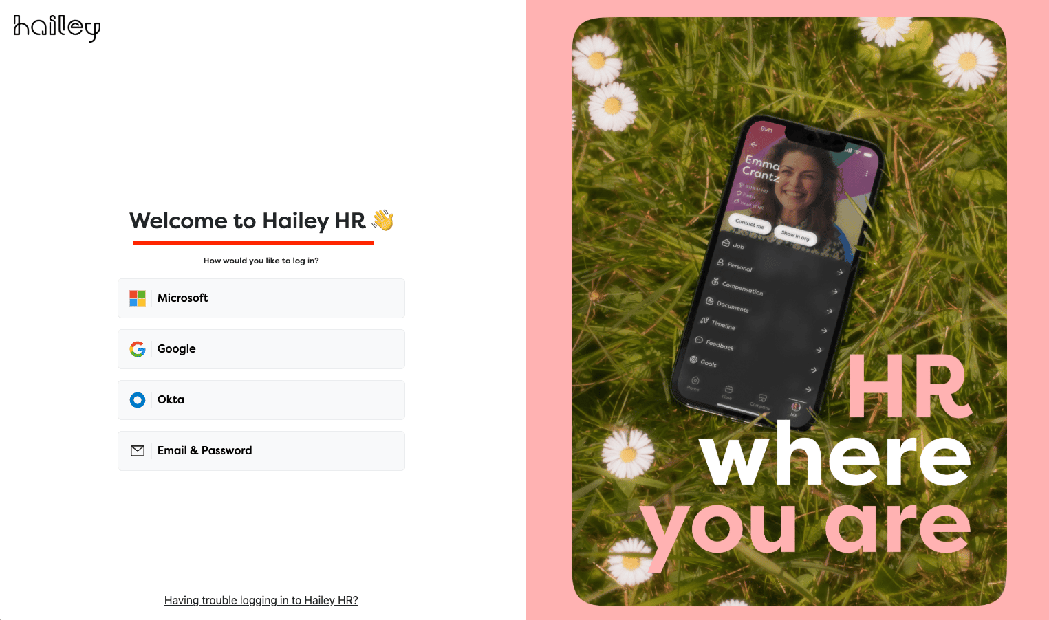 Hailey HR login page