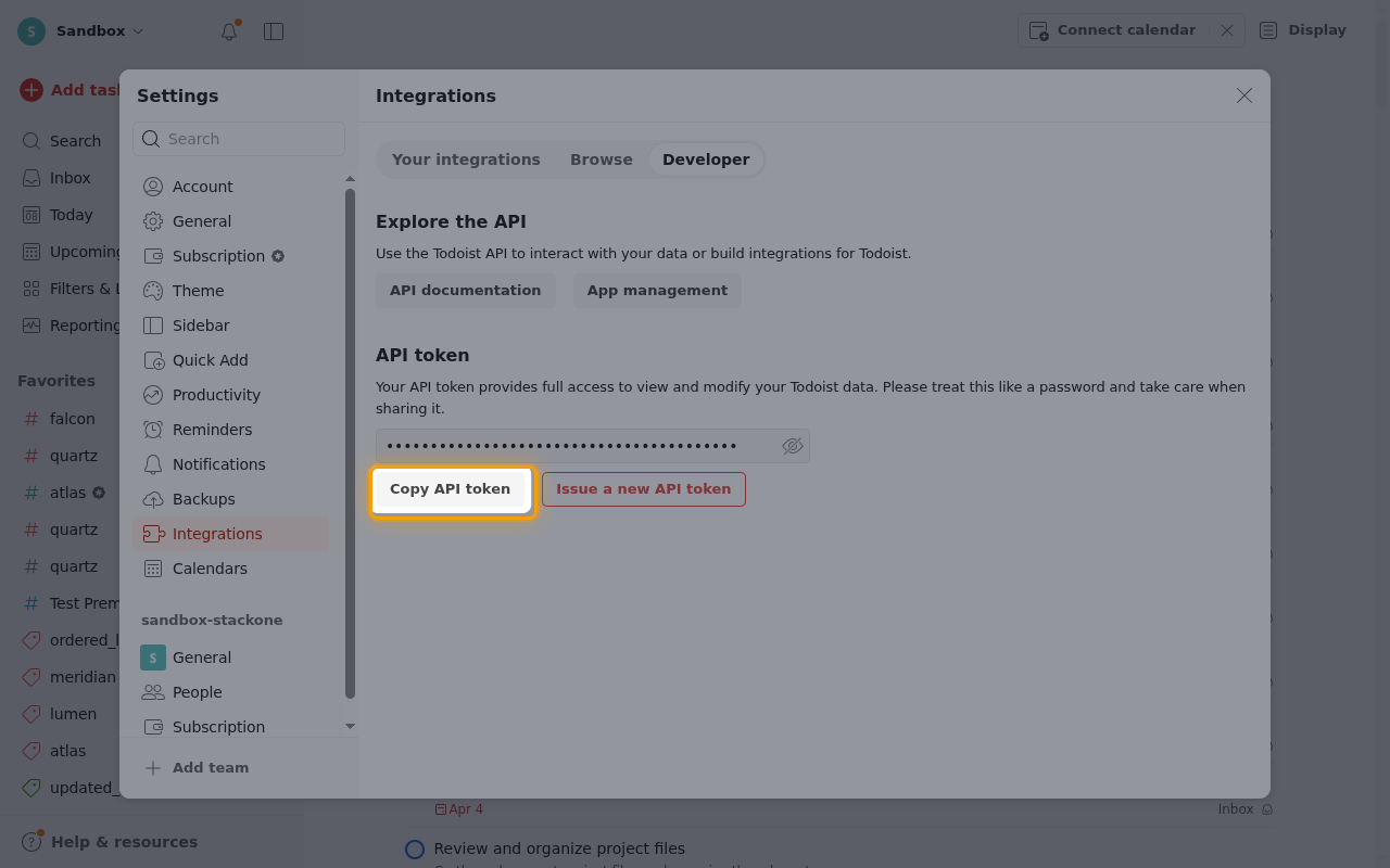 The Developer tab with the Copy API token button highlighted and the token value hidden